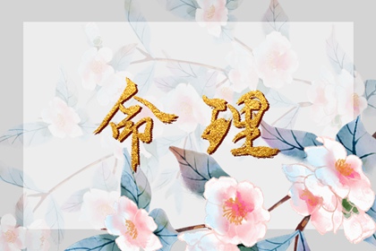 择吉皇历(最新版本),择吉皇历查询,结婚择吉日2026年